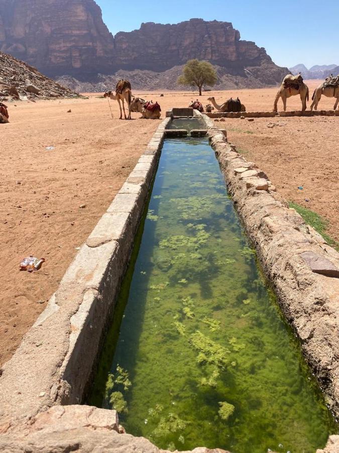 Moon City With Sunset Tour Wadi Rum Esterno foto